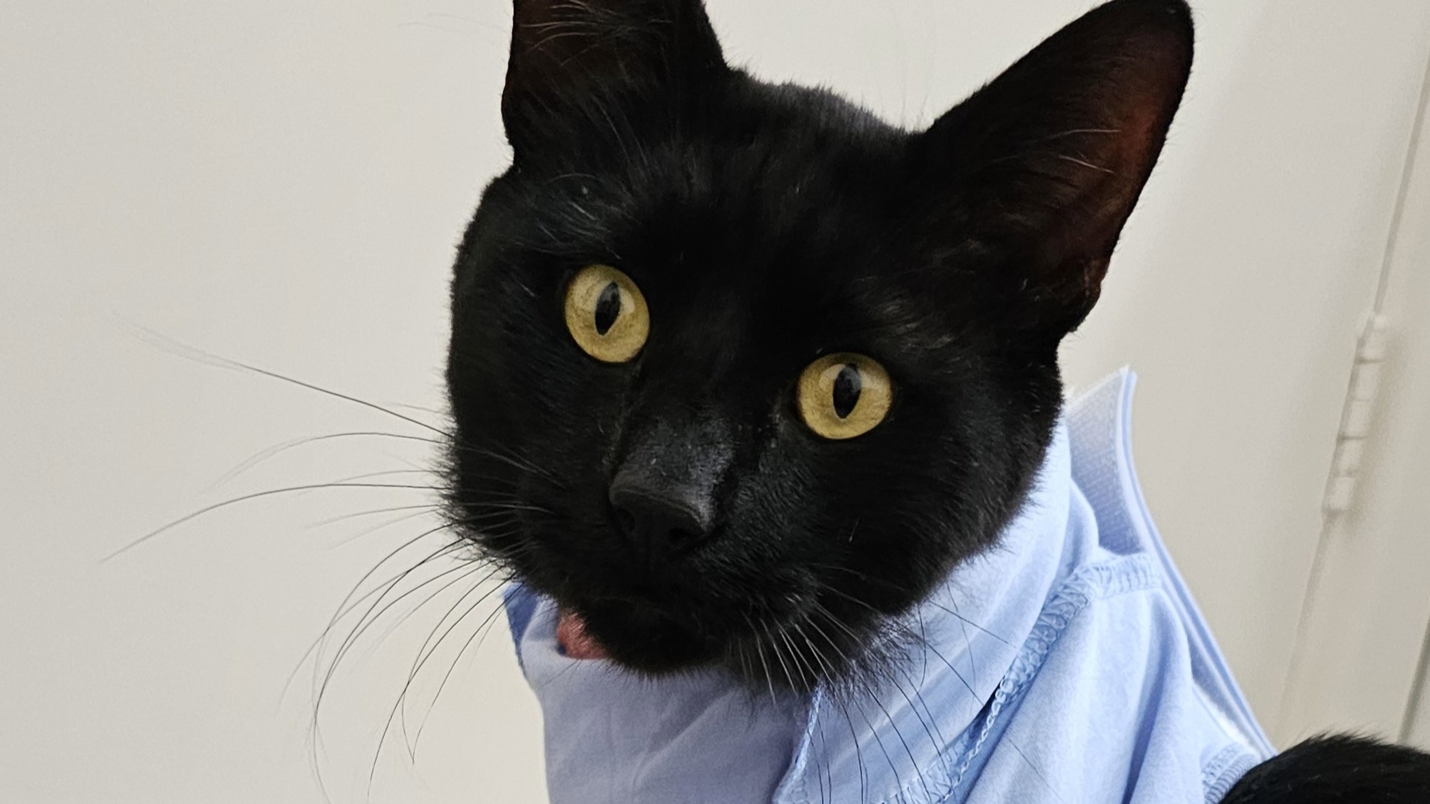 Bino 16X9 1 2880X1620 C Center