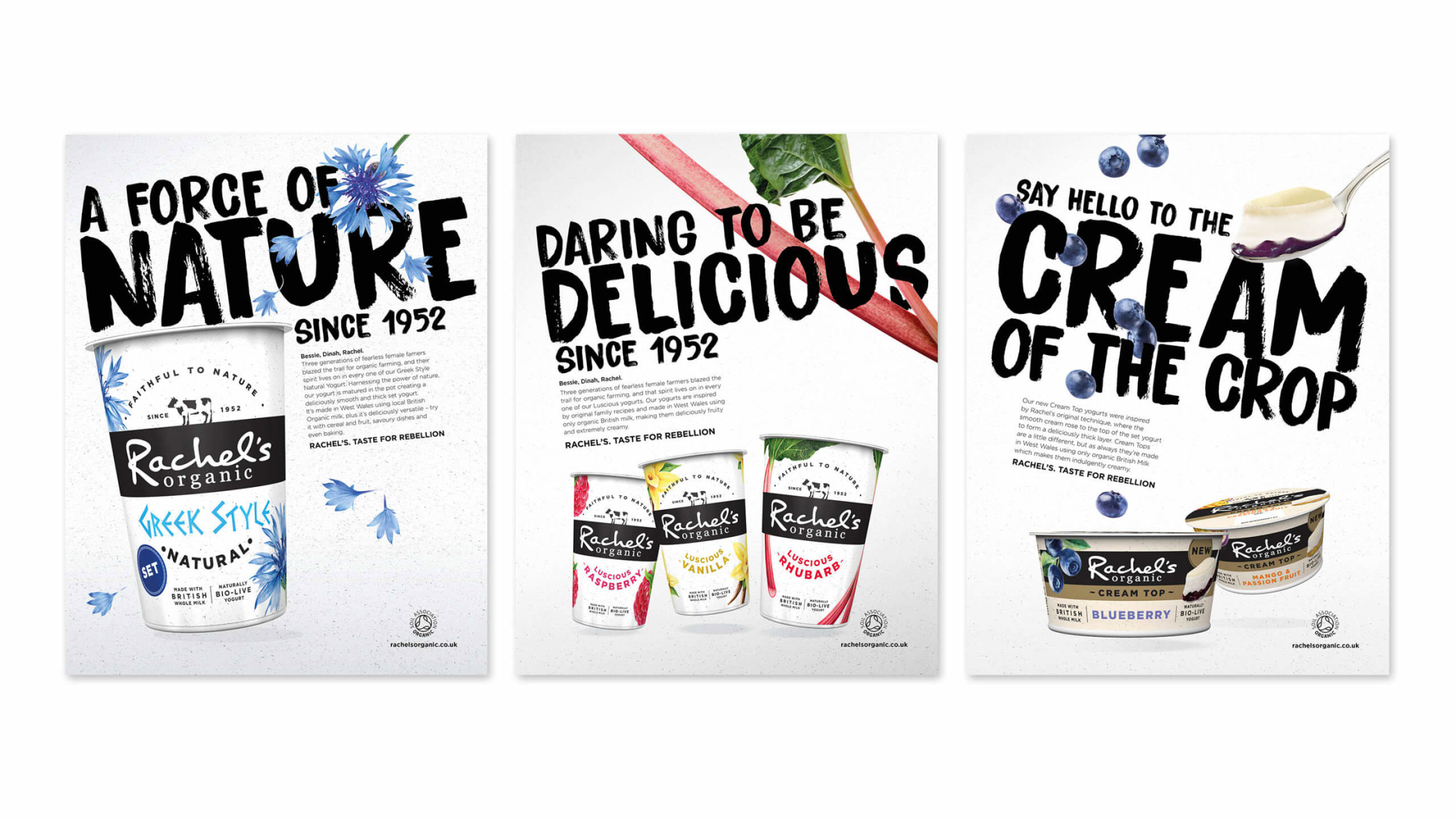 Rachels Full Page Ads 2880X1620px V1 Scaled 2880X1620 C Center}