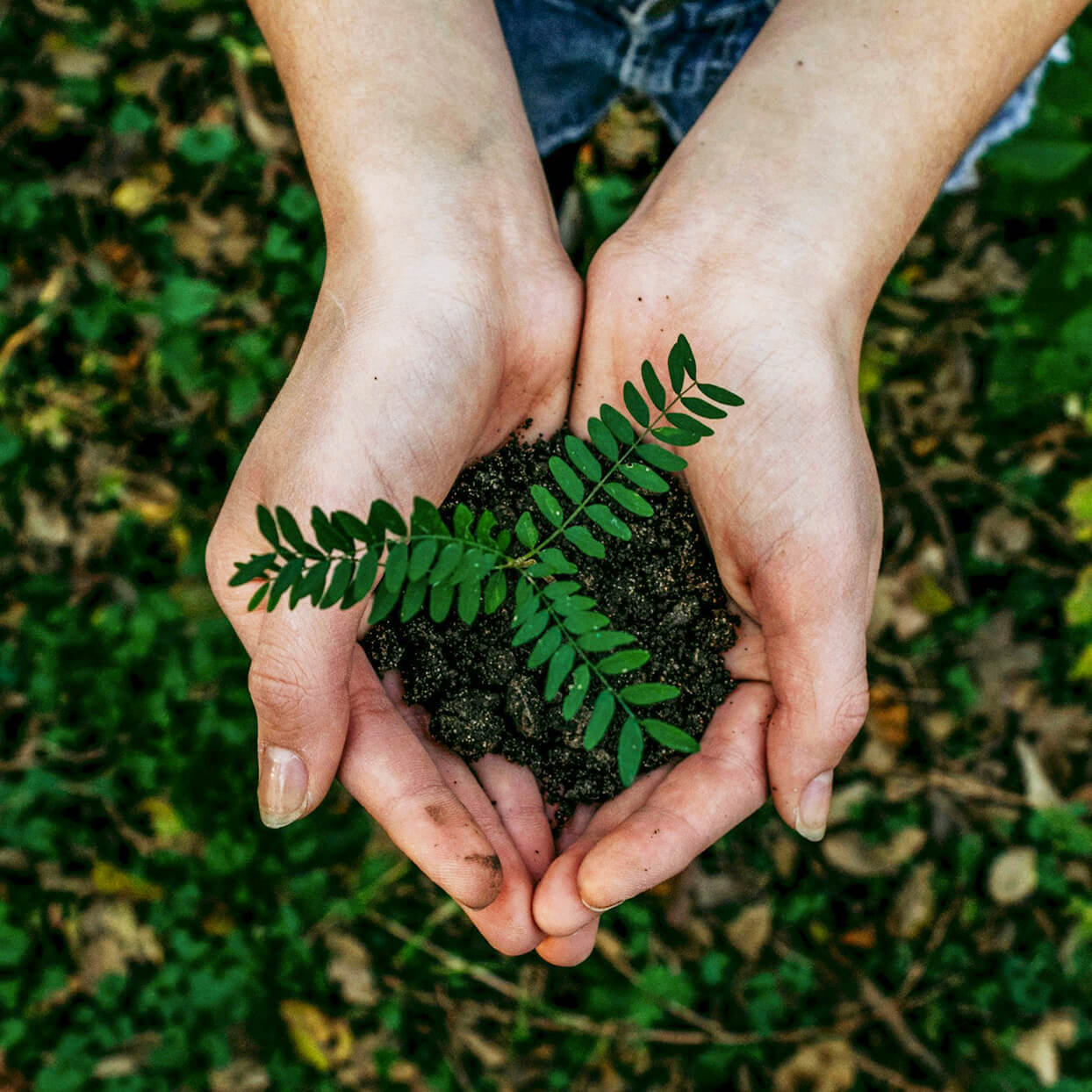 ROW 2024 WEB ENVIRONMENT ARTBOARDS V1KROW ENVIRONMENT 1244X1244 NO SQUARE