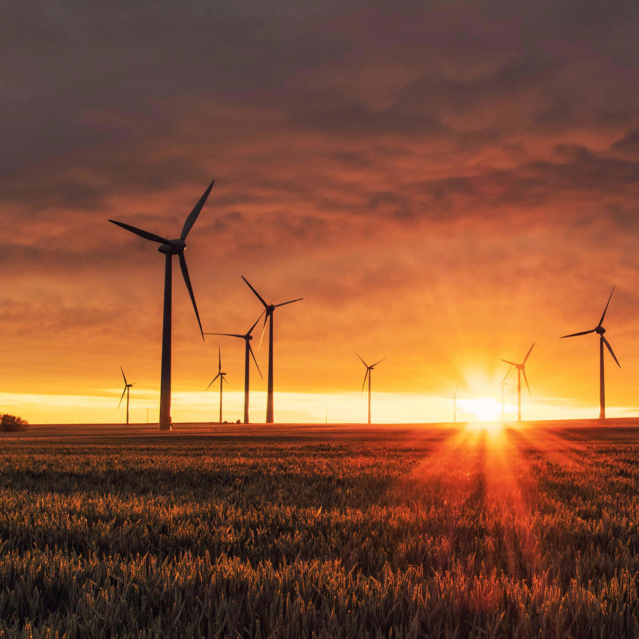 ROW 2023 WEB ENVIRONMENT ARTBOARDS V1KROW WEBSITE ENVIRONMENT ORANGE WORK LISTING 1244X1244 NO WHITE SQUARE 01 Copy